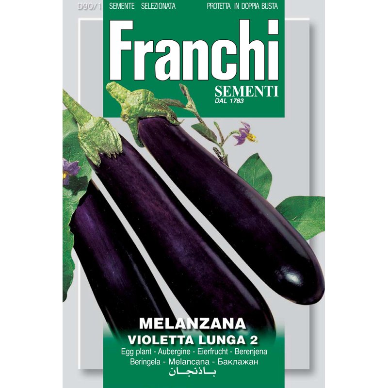 Aubergine Violetta Lunga